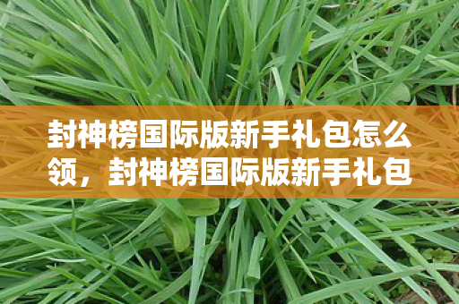 封神榜国际版新手礼包怎么领,封神榜国际版新手礼包,开启冒险之旅的必备神器 封神榜国际版新手礼包怎么领,封神榜国际版新手礼包,开启冒险之旅的必备神器