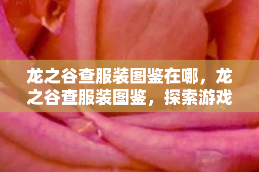龙之谷查服装图鉴在哪,龙之谷查服装图鉴,探索游戏世界的时尚潮流 龙之谷查服装图鉴在哪,龙之谷查服装图鉴,探索游戏世界的时尚潮流
