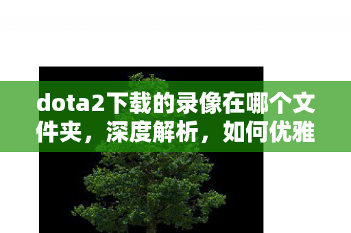dota2下载的录像在哪个文件夹,深度解析,如何优雅地卸载Dota2并清理残留文件 dota2下载的录像在哪个文件夹,深度解析,如何优雅地卸载Dota2并清理残留文件