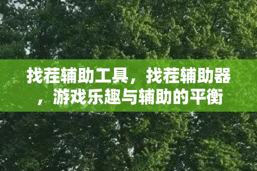 找茬辅助工具,找茬辅助器,游戏乐趣与辅助的平衡 找茬辅助工具,找茬辅助器,游戏乐趣与辅助的平衡