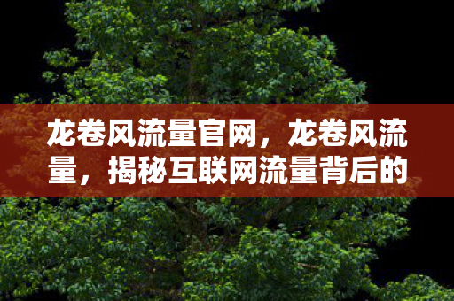 龙卷风流量官网,龙卷风流量,揭秘互联网流量背后的秘密 龙卷风流量官网,龙卷风流量,揭秘互联网流量背后的秘密