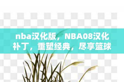 nba汉化版,NBA08汉化补丁,重塑经典,尽享篮球盛宴 nba汉化版,NBA08汉化补丁,重塑经典,尽享篮球盛宴