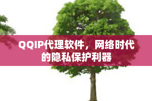 QQIP代理软件,网络时代的隐私保护利器 QQIP代理软件,网络时代的隐私保护利器