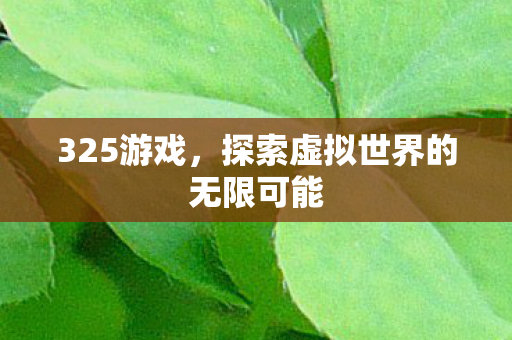 325游戏，探索虚拟世界的无限可能