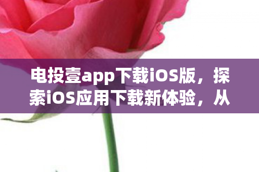 电投壹app下载iOS版，探索iOS应用下载新体验，从App Store到个性化推荐