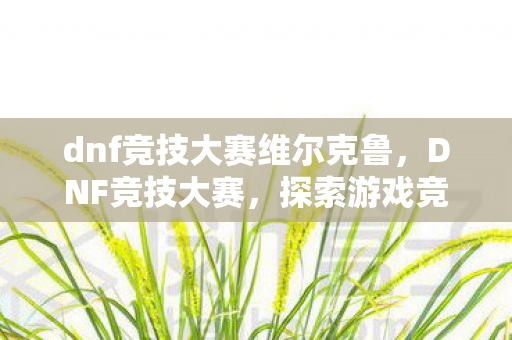 dnf竞技大赛维尔克鲁，DNF竞技大赛，探索游戏竞技的无限可能
