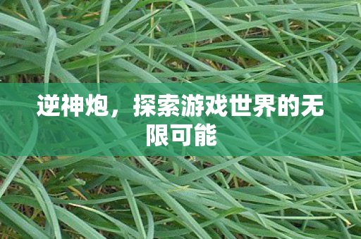 逆神炮,探索游戏世界的无限可能 逆神炮,探索游戏世界的无限可能