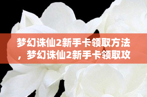 梦幻诛仙2新手卡领取方法,梦幻诛仙2新手卡领取攻略,轻松获取丰厚奖励 梦幻诛仙2新手卡领取方法,梦幻诛仙2新手卡领取攻略,轻松获取丰厚奖励