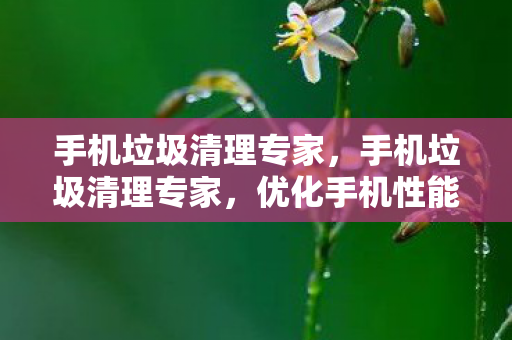 手机垃圾清理专家,手机垃圾清理专家,优化手机性能,提升使用体验 手机垃圾清理专家,手机垃圾清理专家,优化手机性能,提升使用体验