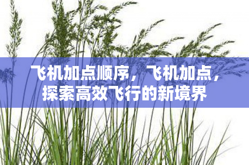 飞机加点顺序,飞机加点,探索高效飞行的新境界 飞机加点顺序,飞机加点,探索高效飞行的新境界