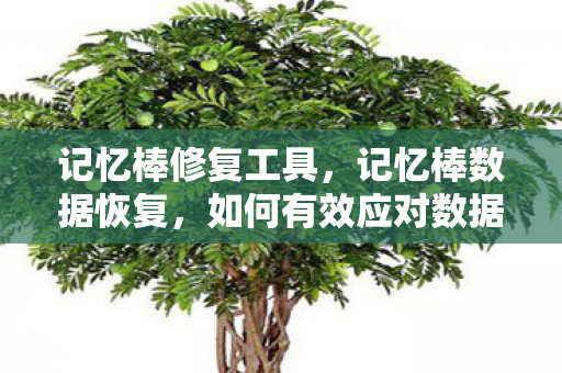 记忆棒修复工具,记忆棒数据恢复,如何有效应对数据丢失的难题 记忆棒修复工具,记忆棒数据恢复,如何有效应对数据丢失的难题