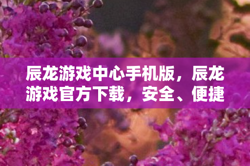 辰龙游戏中心手机版，辰龙游戏官方下载，安全、便捷的游戏体验