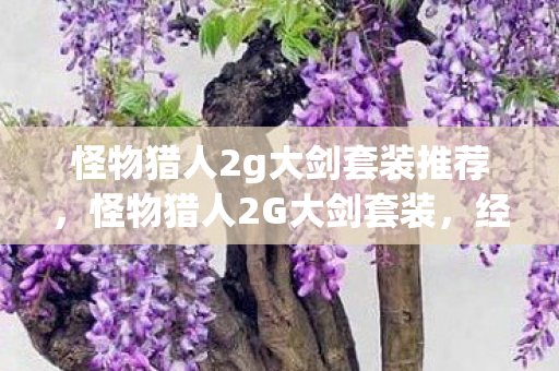 怪物猎人2g大剑套装推荐，怪物猎人2G大剑套装，经典再现，策略与技巧的完美结合