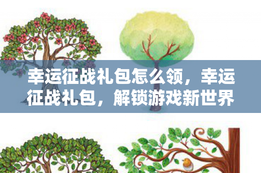 幸运征战礼包怎么领，幸运征战礼包，解锁游戏新世界的神秘钥匙