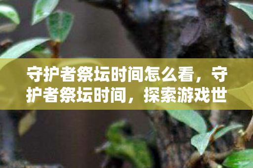 守护者祭坛时间怎么看，守护者祭坛时间，探索游戏世界的无尽奥秘