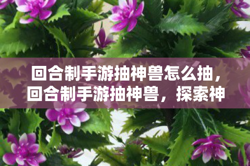 回合制手游抽神兽怎么抽，回合制手游抽神兽，探索神秘世界的奇妙之旅