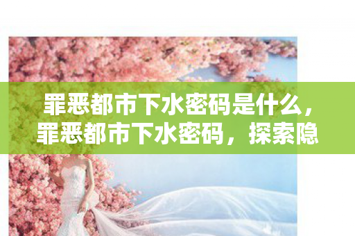 罪恶都市下水密码是什么,罪恶都市下水密码,探索隐藏的秘密与无限可能 罪恶都市下水密码是什么,罪恶都市下水密码,探索隐藏的秘密与无限可能