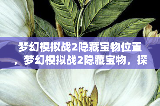 梦幻模拟战2隐藏宝物位置,梦幻模拟战2隐藏宝物,探寻游戏中的神秘宝藏 梦幻模拟战2隐藏宝物位置,梦幻模拟战2隐藏宝物,探寻游戏中的神秘宝藏