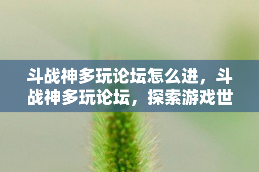 斗战神多玩论坛怎么进,斗战神多玩论坛,探索游戏世界的无限可能 斗战神多玩论坛怎么进,斗战神多玩论坛,探索游戏世界的无限可能