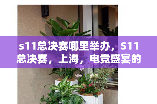 s11总决赛哪里举办,S11总决赛,上海,电竞盛宴的璀璨明珠 s11总决赛哪里举办,S11总决赛,上海,电竞盛宴的璀璨明珠