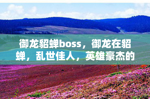 御龙貂蝉boss,御龙在貂蝉,乱世佳人,英雄豪杰的传奇故事 御龙貂蝉boss,御龙在貂蝉,乱世佳人,英雄豪杰的传奇故事