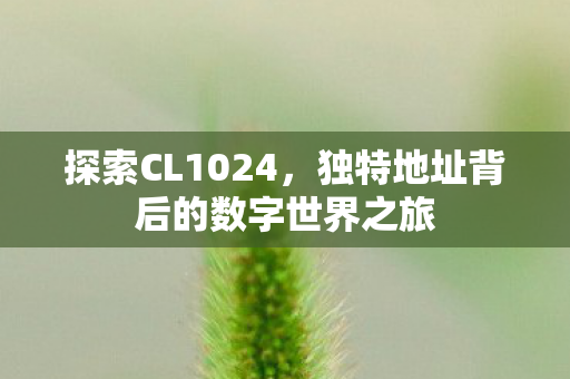 探索CL1024,独特地址背后的数字世界之旅 探索CL1024,独特地址背后的数字世界之旅