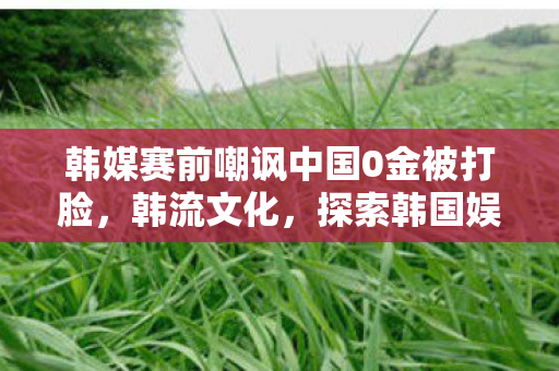 韩媒赛前嘲讽中国0金被打脸，韩流文化，探索韩国娱乐产业的独特魅力