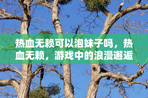 热血无赖可以泡妹子吗，热血无赖，游戏中的浪漫邂逅
