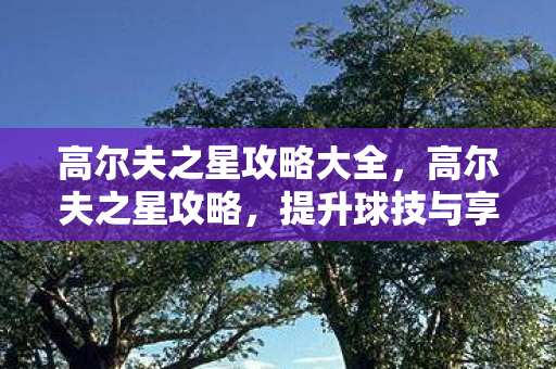 高尔夫之星攻略大全，高尔夫之星攻略，提升球技与享受游戏的全方位指南