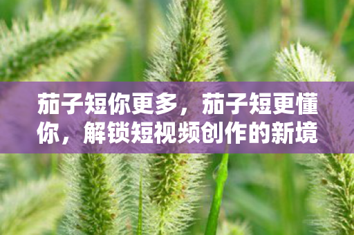 茄子短你更多,茄子短更懂你,解锁短视频创作的新境界 茄子短你更多,茄子短更懂你,解锁短视频创作的新境界