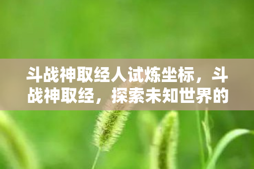 斗战神取经人试炼坐标，斗战神取经，探索未知世界的奇幻之旅