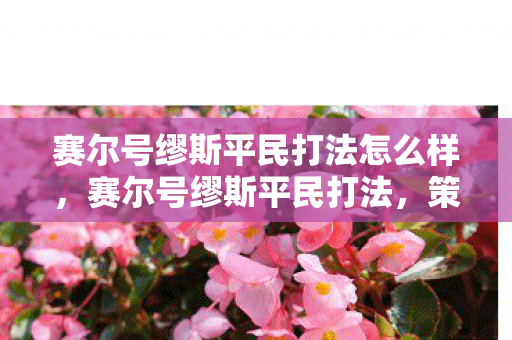 赛尔号缪斯平民打法怎么样，赛尔号缪斯平民打法，策略与技巧