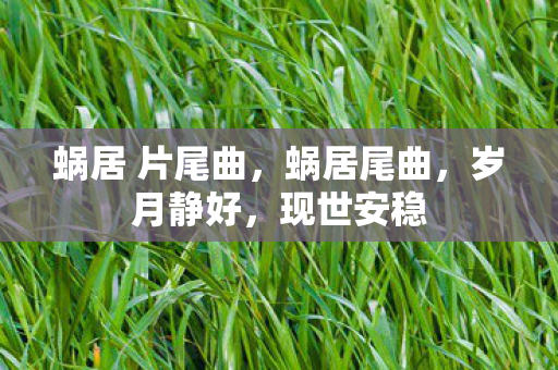 蜗居 片尾曲，蜗居尾曲，岁月静好，现世安稳