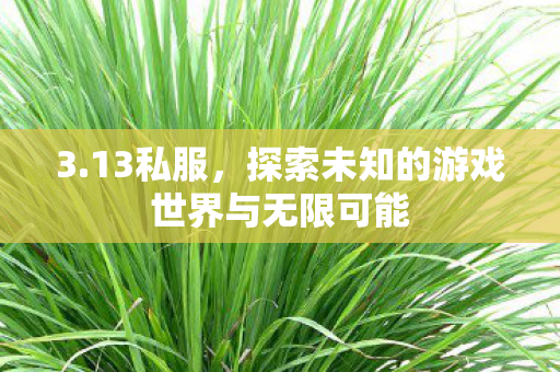3.13私服,探索未知的游戏世界与无限可能 3.13私服,探索未知的游戏世界与无限可能