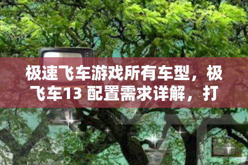极速飞车游戏所有车型,极飞车13 配置需求详解,打造流畅游戏体验 极速飞车游戏所有车型,极飞车13 配置需求详解,打造流畅游戏体验