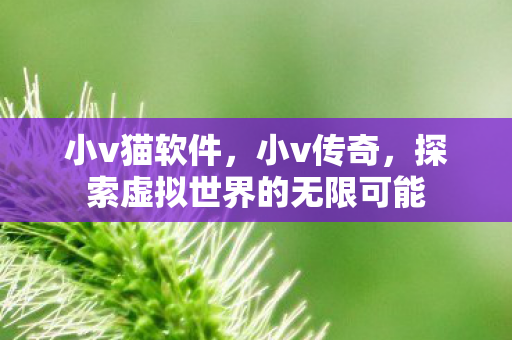 小v猫软件,小v传奇,探索虚拟世界的无限可能 小v猫软件,小v传奇,探索虚拟世界的无限可能