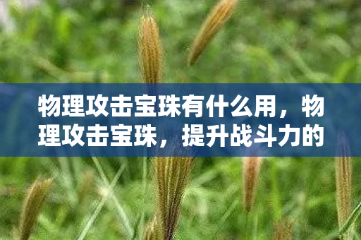 物理攻击宝珠有什么用,物理攻击宝珠,提升战斗力的神秘宝物 物理攻击宝珠有什么用,物理攻击宝珠,提升战斗力的神秘宝物