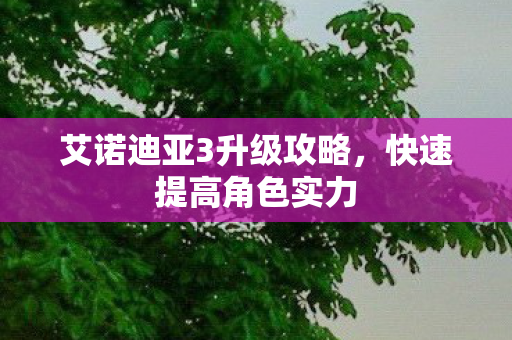 艾诺迪亚3升级攻略,快速提高角色实力 艾诺迪亚3升级攻略,快速提高角色实力