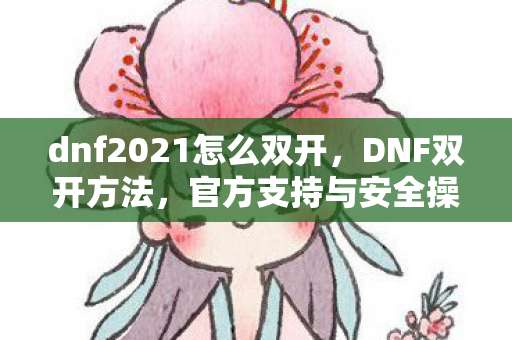 dnf2021怎么双开,DNF双开方法,官方支持与安全操作指南 dnf2021怎么双开,DNF双开方法,官方支持与安全操作指南