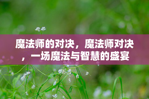 魔法师的对决，魔法师对决，一场魔法与智慧的盛宴