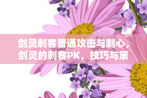 剑灵刺客普通攻击与刺心，剑灵的刺客PK，技巧与策略的深度解析