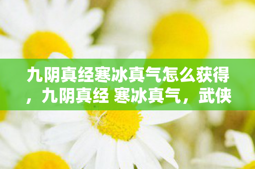 九阴真经寒冰真气怎么获得,九阴真经 寒冰真气,武侠世界中的绝世神功 九阴真经寒冰真气怎么获得,九阴真经 寒冰真气,武侠世界中的绝世神功