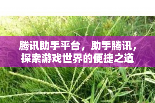 腾讯助手平台，助手腾讯，探索游戏世界的便捷之道