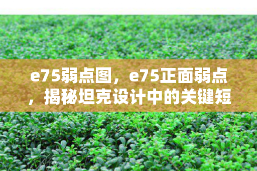 e75弱点图，e75正面弱点，揭秘坦克设计中的关键短板