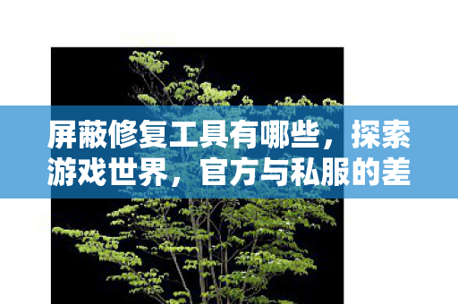 屏蔽修复工具有哪些,探索游戏世界,官方与私服的差异与选择 屏蔽修复工具有哪些,探索游戏世界,官方与私服的差异与选择