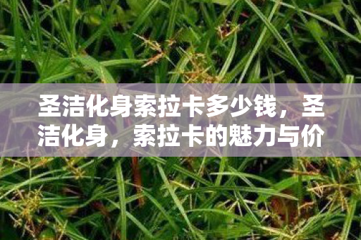 圣洁化身索拉卡多少钱,圣洁化身,索拉卡的魅力与价值 圣洁化身索拉卡多少钱,圣洁化身,索拉卡的魅力与价值