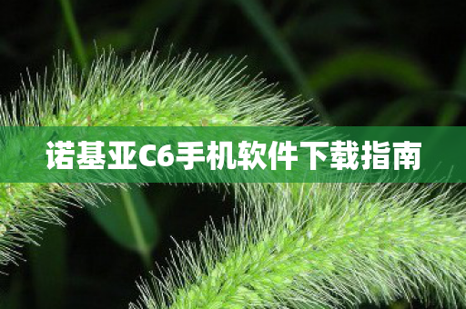 诺基亚C6手机软件下载指南 诺基亚C6手机软件下载指南