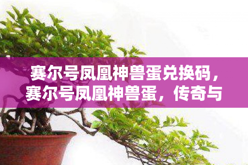 赛尔号凤凰神兽蛋兑换码,赛尔号凤凰神兽蛋,传奇与神秘的交织 赛尔号凤凰神兽蛋兑换码,赛尔号凤凰神兽蛋,传奇与神秘的交织