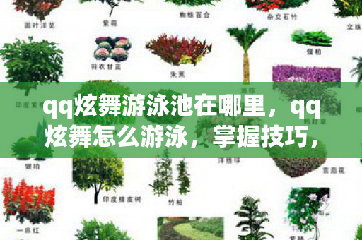qq炫舞游泳池在哪里,qq炫舞怎么游泳,掌握技巧,畅游虚拟泳池 qq炫舞游泳池在哪里,qq炫舞怎么游泳,掌握技巧,畅游虚拟泳池