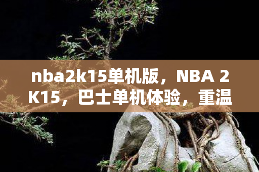 nba2k15单机版,NBA 2K15,巴士单机体验,重温经典篮球之旅 nba2k15单机版,NBA 2K15,巴士单机体验,重温经典篮球之旅